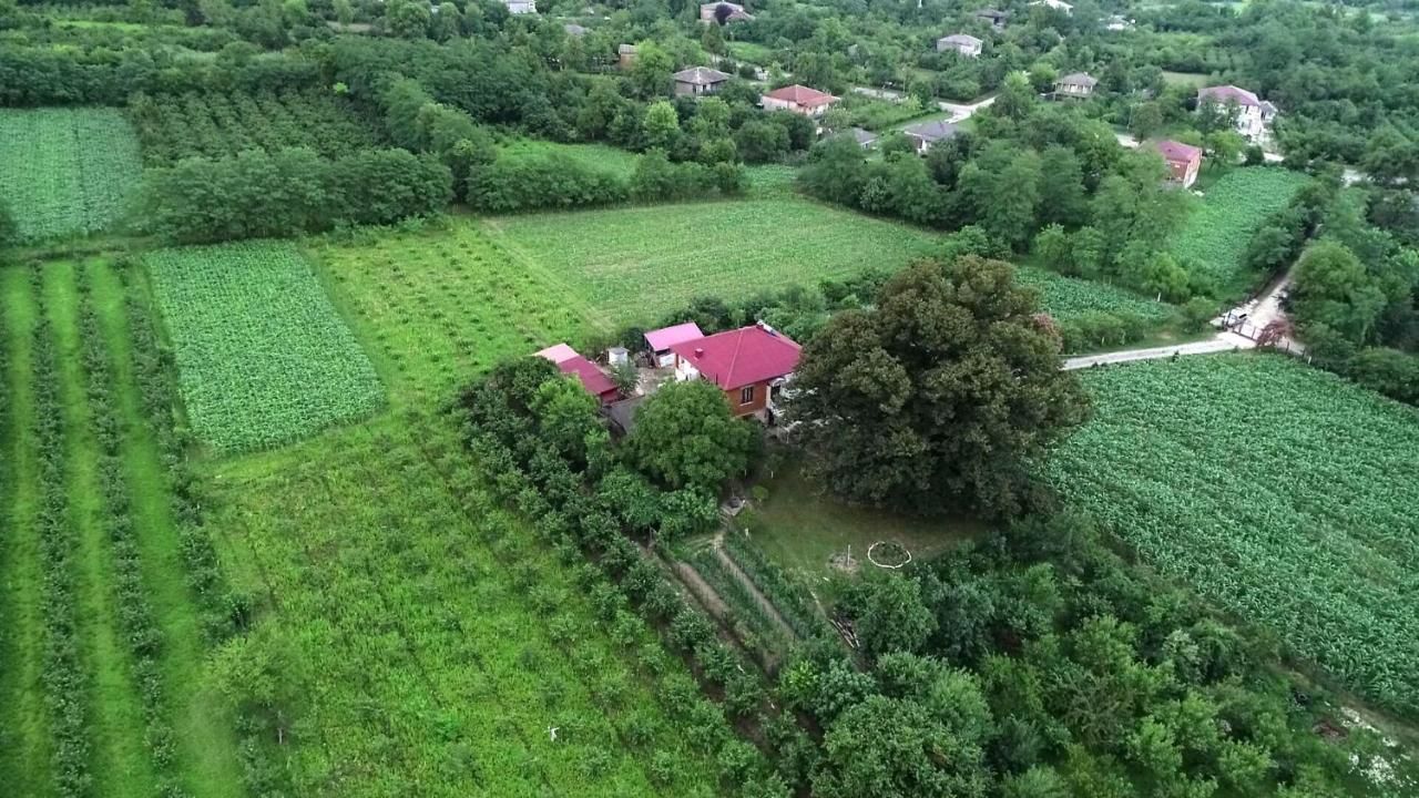 Гостевой дом Guesthouse Boboti Мартвили-13