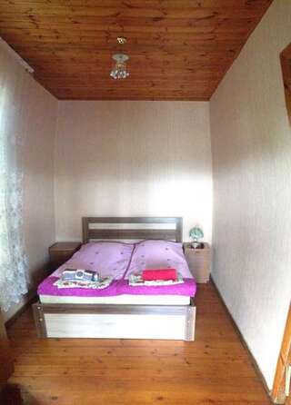 Гостевой дом Guesthouse Boboti Мартвили Бюджетный двухместный номер с 1 кроватью или 2 отдельными кроватями-5